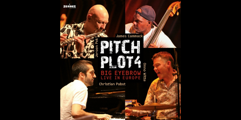 Pitch Plot 4 - Big Eyebrow tour