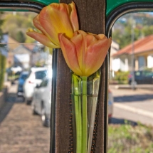 Autospeurtocht-2021-04-25 (7) Autospeurtocht-2021-04-25 (7)